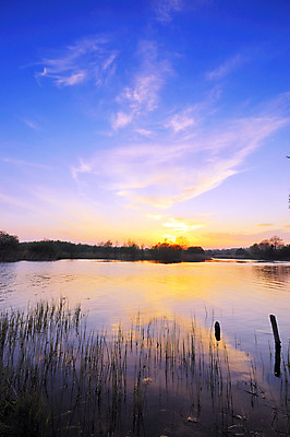 포토 JPG 해외이미지 나무 구름 실루엣 바다 오렌지 자연 하늘 풍경 사람없음 물 파란색 빛 태양 일출 어둠 황혼 일몰 저녁 아일랜드 해외202004 해외포토 자연요소 식물 유럽 컬러 과일 촬영기법 노을 야간 생태계 파일형식 이미지허브