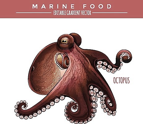 EPS 해외이미지 야생동물 음식 바다 일러스트 자연 낚시 어류 그래픽 라벨 신선 은색 먹기 해산물 오브젝트 그림 문어 태평양 패키지 통조림 대서양 내추럴 고립 동물상 소금물 엘리먼트 해외202004 해외일러스트 동물 컬러 모션 레저 연체동물 프레임 조형물 수중동물 생태계 파일형식 벡터 이미지허브
