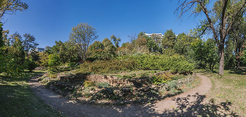 포토 JPG 해외이미지 나무 식물 디자인 공원 유럽 길 여행 백그라운드 잎 자연 파노라마 이끼 풍경 사람없음 야외 초록색 평화 정원 화목 침묵 산책 가을 시골 기둥 모서리 오솔길 대학교 원예 시력 화단 내추럴 우크라이나 해외202004 해외포토 계절 공공시설 건축 나라 컬러 컨셉 학교 휴식 촬영기법 취미 소리 생태계 파일형식 이미지허브