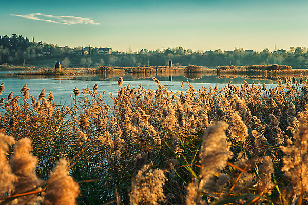 포토 JPG 해외이미지 호수 겨울 자연 풍경 사람없음 물 태양 반사 얼음 일몰 이탈리아 추위 시골 해외202004 해외포토 자연요소 계절 유럽 노을 생태계 파일형식 이미지허브