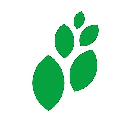 EPS 해외이미지 모양 식물 템플릿 디자인 여자 꽃잎 실루엣 선 컨셉 잎 꽃무늬 일러스트 회사 비즈니스 요가 자연 추상 휴식 아이디어 건강 그래픽 장식 초록색 컬러풀 약 유행 환경 스파 봄 화장품 벚꽃 신선 마사지 우아함 심볼 사인 에코 유기농 내추럴 고립 돌봄 생태학 엘리먼트 해외202004 해외일러스트 웰빙 계절 교육 꽃 컬러 무늬 의학 모션 촬영기법 사람 뷰티 생태계 파일형식 벡터 이미지허브