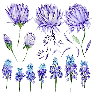 포토 JPG 해외이미지 클립아트 식물 손 디자인 꽃잎 꽃 분홍색 꽃다발 결혼 백그라운드 꽃무늬 일러스트 자연 수채화 미술 사람없음 장식 초록색 여름 세트 보라색 봄 벚꽃 흰색 신용카드 그리기 우아함 제비꽃 그림 클립 초대 고립 르네상스 아티초크 프로방스 해외202004 해외포토 계절 컬러 컨셉 무늬 모션 문화예술 이벤트 신체부위 금융 생태계 파일형식 이미지허브