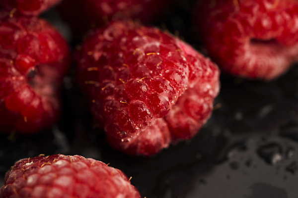 포토 JPG 해외이미지 열매 잎 과일 사람없음 목재 빨간색 초록색 물 젖음 흰색 물방울 달콤 산딸기 고립 해외202004 해외포토 자연요소 나무 식물 컬러 재료 맛 파일형식 이미지허브