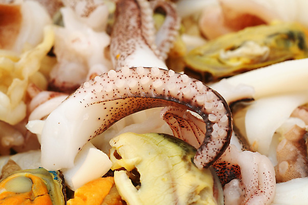 포토 JPG 해외이미지 음식 백그라운드 자연 새우 건강 어류 사람없음 식사 저녁식사 게 껍질 신선 가재 날것 홍합 문어 성분 점심식사 해외202004 해외포토 어패류 연체동물 갑각류 수중동물 생태계 파일형식 이미지허브