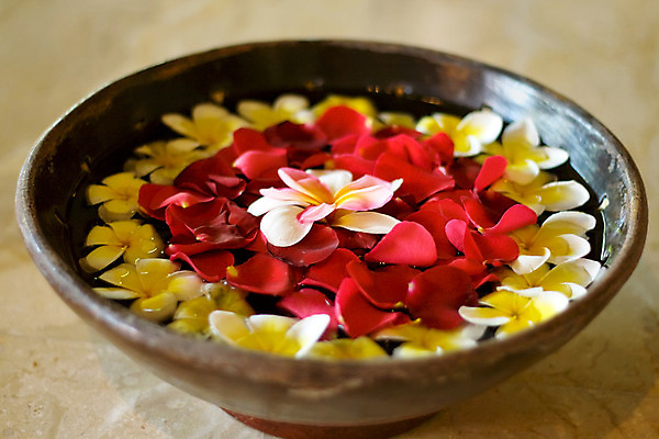 포토 JPG 해외이미지 식물 꽃잎 꽃 분홍색 자연 휴식 건강 사람없음 치료 물 스파 화목 침묵 신선 사발 고급 닫기 소중 향수 휴양지 향기 아로마 닦기 아로마테라피 테라피 내추럴 돌봄 해외202004 해외포토 자연요소 컬러 컨셉 의학 모션 뷰티 소리 화장품 장소 사기그릇 생태계 냄새 파일형식 이미지허브