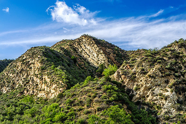 포토 JPG 해외이미지 여행 잎 자연 하늘 산 풍경 사람없음 야외 초록색 여름 파란색 걷기 환경 계곡 봄 하이킹 암석 숲 캘리포니아 로스앤젤레스 발렌시아 절정 해외202004 해외포토 식물 계절 컬러 모션 레저 미국 돌_바위 생태계 파일형식 이미지허브
