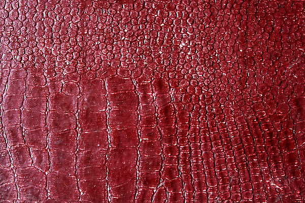 포토 JPG 해외이미지 백그라운드 패턴 가방 추상 사람없음 빨간색 가죽 피부 질감 땅바닥 해외202004 해외포토 잡화 컬러 무늬 바닥 신체부위 파일형식 이미지허브