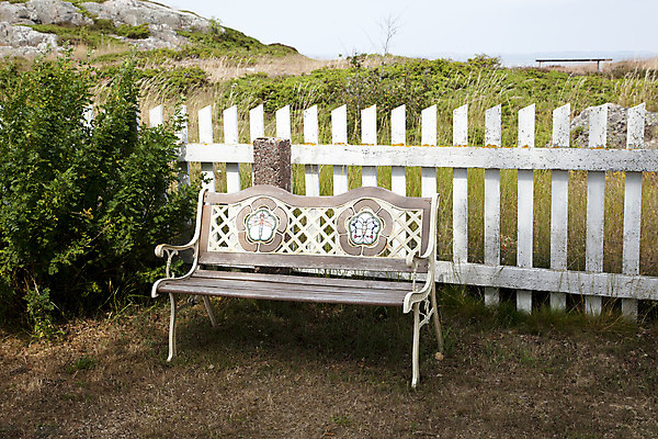 포토 JPG 해외이미지 식물 공원 가구 벤치 의자 자연 휴식 벽돌 사람없음 야외 목재 장식 초록색 여름 햇빛 정원 숲 일반 무료 옛날 해외202004 해외포토 나무 계절 공공시설 컬러 생활용품 컨셉 재료 태양 생태계 파일형식 이미지허브