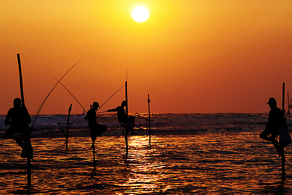 포토 JPG 해외이미지 직업 전통 남자 실루엣 문화 음식 파도 바다 여행 자연 하늘 낚시 사람 앉기 동양인 풍경 사람없음 물 여름 태양 맑음 일몰 잡기 업무 막대기 그룹 기다림 원주민 인도인 낚시꾼 봉 해외202004 해외포토 자연요소 외국인 계절 모션 레저 날씨 촬영기법 인종 노을 작업 아프리카인 생태계 파일형식 이미지허브