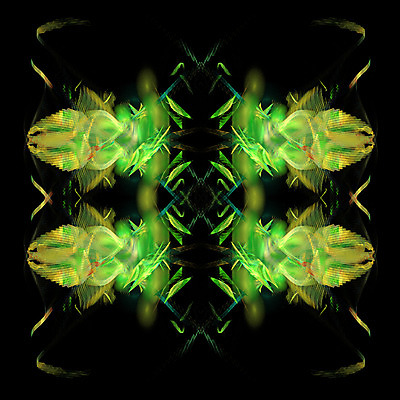 포토 JPG 해외이미지 모양 디자인 분홍색 백그라운드 패턴 오렌지 일러스트 모션 벽지 추상 미래 불꽃 창조 미술 사람없음 그래픽 장식 빨간색 초록색 빛 노란색 3D 디지털 보라색 에너지 소프트포커스 심볼 질감 만들기 공상 발생 스타일 효과 해외202004 해외포토 컬러 컨셉 무늬 과일 불 문화예술 촬영기법 디지털합성 파일형식 이미지허브