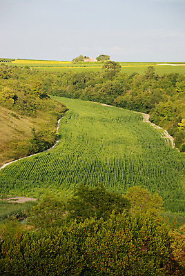 포토 JPG 해외이미지 유럽 농업 자연 풍경 사람없음 농작물 농경지 시골 땅 그림 해외202004 해외포토 나라 산업 농장 생태계 파일형식 이미지허브