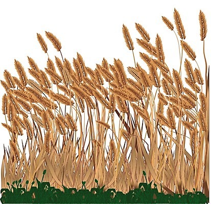 EPS 해외이미지 백그라운드 오렌지 일러스트 자연 옥수수 미술 잔디 그래픽 농작물 농장 농경지 갈색 노란색 성장 잡초 낟알 밀 그림 질감 고립 밭일 카피스페이스 해외202004 해외일러스트 식물 컬러 농업 과일 문화예술 곡류 공백 생태계 파일형식 벡터 이미지허브