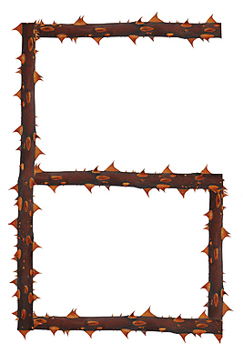 포토 JPG 해외이미지 아이콘 1 디자인 꽃 줄기 백그라운드 컨셉 2 텍스트 새로움 3 미술 사람없음 그래픽 빛 세트 숫자 장미 반사 갈색 금속 희망 수학 4 그룹 날짜 우아함 은색 6 수집 심볼 오브젝트 사인 만들기 시스템 제비 고립 엘리먼트 카운트 스타일 해외202004 해외포토 식물 문자 감정 컬러 교과목 모션 재질 조류 문화예술 파일형식 이미지허브