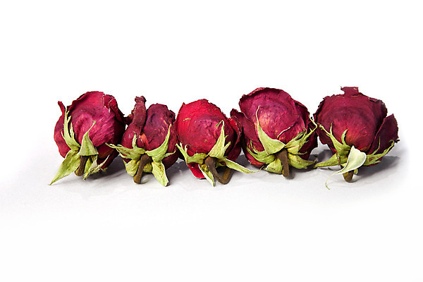 포토 JPG 해외이미지 식물 꽃 분홍색 꽃무늬 자연 건조 사람없음 빨간색 초록색 컬러풀 장미 벚꽃 흰색 죽음 닫기 허브 내추럴 고립 옛날 취급주의 해외202004 해외포토 컬러 무늬 모션 경고 생태계 파일형식 이미지허브