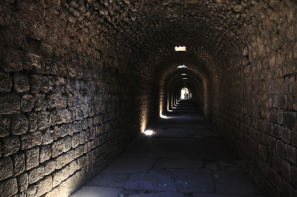 포토 JPG 해외이미지 디자인 종교 벽 여행 건축양식 하늘 석조 사람없음 여름 파란색 골동품 바위 기둥 사찰 역사 로마 드럼 대리석 신화 칠면조 그리스인 아크로폴리스 여신 핸드메이드 화강암 해외202004 해외포토 서양인 계절 건축 컬러 재료 종교건축 조류 타악기 이탈리아 암석 돌_바위 그리스 파일형식 이미지허브