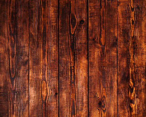 포토 JPG 해외이미지 나무 백그라운드 근접촬영 사람없음 목재 갈색 질감 카피스페이스 해외202004 해외포토 식물 뷰포인트 컬러 재료 공백 파일형식 이미지허브