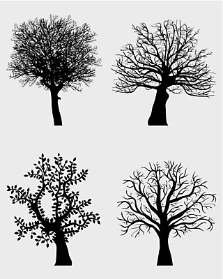 EPS 해외이미지 나무 식물 디자인 계절 실루엣 백그라운드 낙엽 곡선 일러스트 건조 미술 목재 환경 가을 나뭇가지 죽음 우아함 보호 숲 수집 그림 에코 유기농 자작나무 고립 돌봄 미루나무 벌거벗은 해외202004 해외일러스트 웰빙 선 컨셉 잎 재료 모션 문화예술 촬영기법 파일형식 벡터 이미지허브