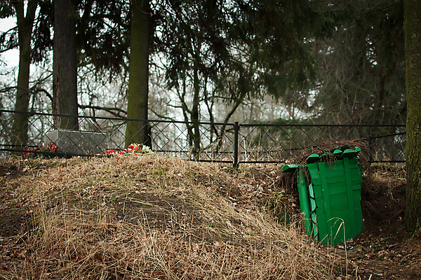 포토 JPG 해외이미지 나무 계절 공원 꽃 백그라운드 잎 사람 사람없음 야외 초록색 갈색 문 검은색 죽음 군용 전쟁 기념물 해외202004 해외포토 식물 공공시설 컬러 군대 파일형식 이미지허브