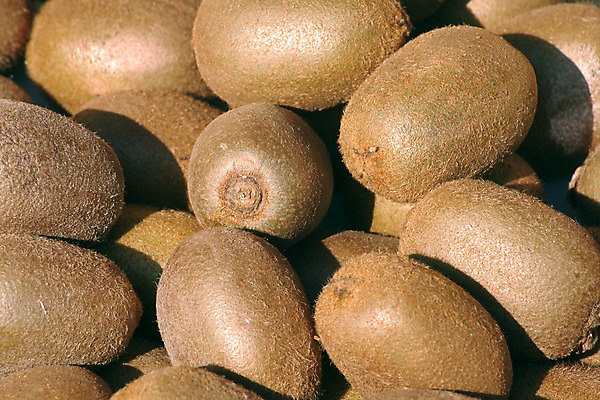 포토 JPG 해외이미지 음식 과일 재료 건강 키위 사람없음 세일 신선 시장 달콤 성분 흙더미 많음 해외202004 해외포토 컨셉 흙 맛 파일형식 더미 이미지허브