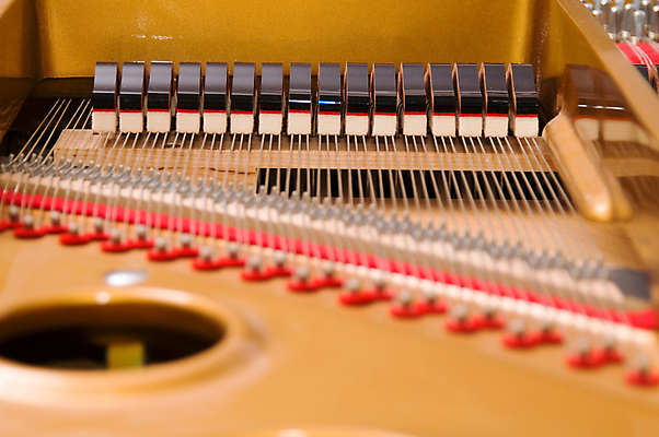 포토 JPG 해외이미지 줄 음악 열쇠 사람없음 소리 기구 황금 망치 철사 조율 펠트 해외202004 해외포토 문화예술 공구 파일형식 천_직물 이미지허브