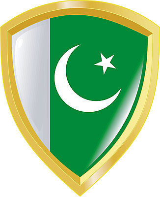 EPS 해외이미지 모양 1 디자인 무기 일러스트 컬러풀 웹 코트 깃발 역사 심볼 싱글 파키스탄 해외202004 해외일러스트 아시아 컬러 인터넷 외투 파일형식 벡터 이미지허브