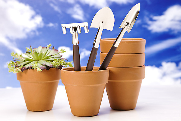 포토 JPG 해외이미지 식물 꽃 지구 백그라운드 컨셉 잎 부츠 통 사람없음 초록색 환경 정원 성장 공구 캔 보호 냄비 삽 시작 원예 먼지 갈퀴 개발 고립 돌봄 모종 생태학 심기 세련 해외202004 해외포토 교육 컬러 신발 모션 취미 도구 솥 파일형식 이미지허브