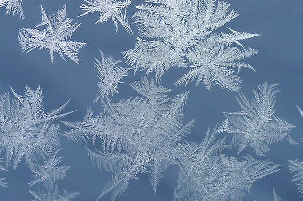 포토 JPG 해외이미지 백그라운드 크리스마스 겨울 패턴 자연 유리 벽지 날씨 추상 사람없음 물 파란색 빛 냉동 얼음 추위 흰색 투명 눈송이 시원함 12월 크리스탈 질감 서리 내추럴 반투명 해외202004 해외포토 자연요소 계절 기념일 컬러 무늬 재질 눈_날씨 날짜 광석 생태계 파일형식 이미지허브