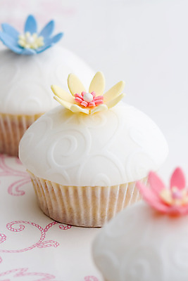 포토 JPG 해외이미지 꽃 선 음식 분홍색 결혼 디저트 3 사람없음 장식 세로 파란색 노란색 파티 케이크 얼음 흰색 화려 고급 달콤 컵케이크 굽기 반투명 줄서기 프로스팅 해외202004 해외포토 자연요소 식물 컬러 컨셉 모션 이벤트 맛 구이 제빵 파일형식 이미지허브