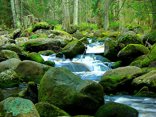 포토 JPG 해외이미지 계절 공원 음료 여행 백그라운드 이동 자연 산 이끼 풍경 사람없음 야외 초록색 물 강 농장 걷기 환경 얼음 봄 폭포 하이킹 가을 바위 흰색 시골 신선 개울 숲 발사 체코 내추럴 생태학 해외202004 해외포토 자연요소 공공시설 교육 유럽 컬러 컨셉 농업 모션 레저 돌_바위 생태계 파일형식 이미지허브