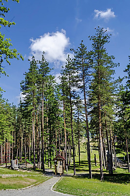 포토 JPG 해외이미지 나무 밧줄 벽 여행 건축양식 자연 매달리기 사람없음 야외 세로 마을 금속 그물 고가도로 성 위험 땅 길이 건너기 불가리아 해외202004 해외포토 식물 건축물 건축 줄 컨셉 모션 재질 고속도로 생태계 파일형식 남유럽 이미지허브