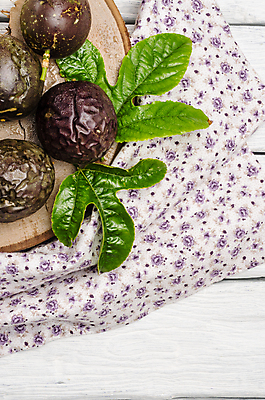 포토 JPG 해외이미지 라이프스타일 디자인 음식 백그라운드 잎 다이어트 과일 재료 탁자 표면 디저트 건강 씨앗 사람없음 목재 우주 식사 활발 시골 신선 아침식사 정상 자르기 배열 먹기 상쾌 유기농 질감 날것 슛 열정 내추럴 멀티 숙성 이국적 채식주의자 핵심 카피스페이스 해외202004 해외포토 나무 식물 웰빙 감정 가구 컨셉 모션 생활 공백 채식 파일형식 이미지허브