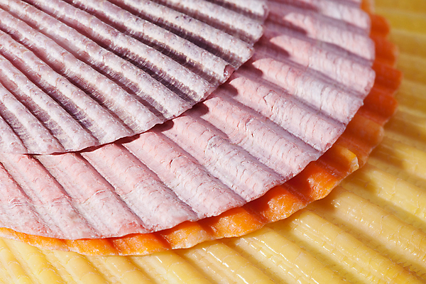 포토 JPG 해외이미지 모양 동물 모래 바다 백그라운드 자연 조개 골격 사람없음 물 컬러풀 환경 수중 껍질 그룹 수집 해산물 생태계 기념품 수족관 내추럴 생태학 이국적 해외202004 해외포토 자연요소 교육 컬러 어패류 오브젝트 파일형식 이미지허브