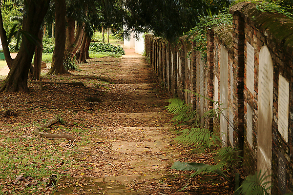 포토 JPG 해외이미지 나무 식물 공원 잎 자연 사람없음 야외 정원 도시 성 내추럴 싱가폴 해외202004 해외포토 건축물 공공시설 아시아 생태계 파일형식 이미지허브