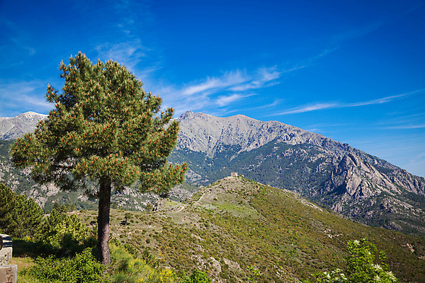 포토 JPG 해외이미지 유럽 섬 여행 자국 자연 하늘 산 풍경 사람없음 야외 초록색 파란색 걷기 계곡 프랑스 오솔길 지중해 언덕 내추럴 프랑스어 코르시카 해외202004 해외포토 문자 나라 길 바다 컬러 모션 생태계 파일형식 이미지허브