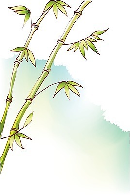 EPS 해외이미지 줄기 백그라운드 잎 일러스트 초록색 흰색 대나무 고립 부족함 해외202004 해외일러스트 나무 식물 컬러 컨셉 파일형식 벡터 이미지허브