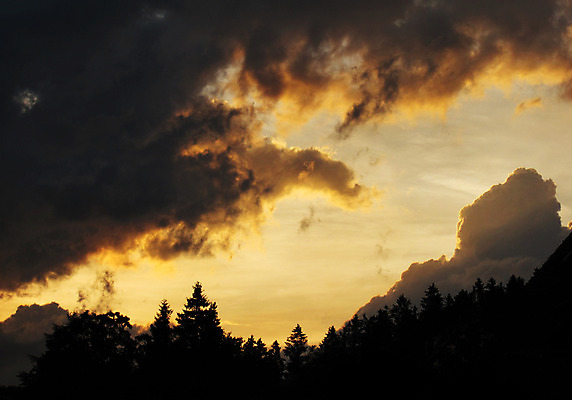 포토 JPG 해외이미지 나무 구름 길 백그라운드 오렌지 자연 하늘 날씨 추상 산 풍경 사람없음 야외 빨간색 여름 파란색 빛 햇빛 태양 우주 환경 계곡 맑음 침묵 일몰 꿈 자유 흰색 예수 숲 위험 장면 천국 흐림 내추럴 뇌우 해외202004 해외포토 자연요소 식물 계절 컬러 컨셉 무늬 과일 노을 소리 신_종교 생태계 파일형식 이미지허브