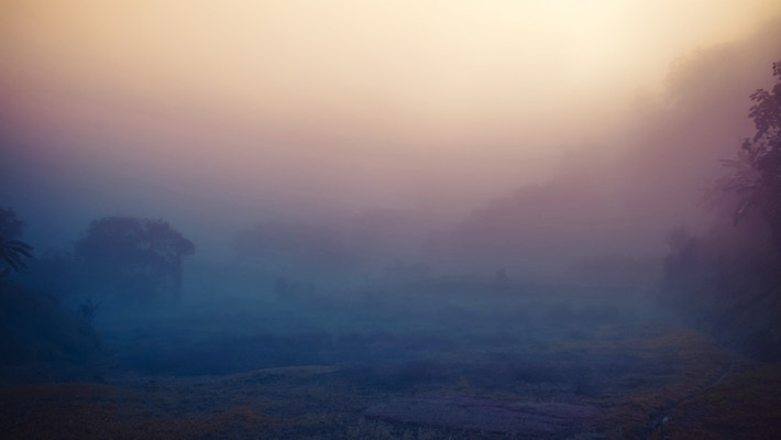 포토 JPG 해외이미지 나무 구름 공원 여행 백그라운드 잎 자연 하늘 아침 산 풍경 사람없음 야외 초록색 일출 환경 일몰 새벽 안개 숲 공상 내추럴 뿌연 전국 절정 해외202004 해외포토 주간 자연요소 식물 공공시설 컬러 날씨 노을 생태계 파일형식 이미지허브