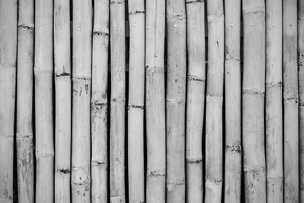 포토 JPG 해외이미지 나무 식물 전통 아시아 문화 선 벽 백그라운드 패턴 자연 동양인 사람없음 목재 장식 울타리 정원 일본 검은색 중국 회색 성장 흰색 나뭇가지 원형 막대기 끝 숲 다발 묶기 대나무 보따리 유기농 원예 질감 정사각형 나무껍질 내추럴 그런지 옛날 직진 해외202004 해외포토 도형 웰빙 나라 컬러 무늬 재료 모션 인종 취미 담장 껍질 생태계 파일형식 이미지허브