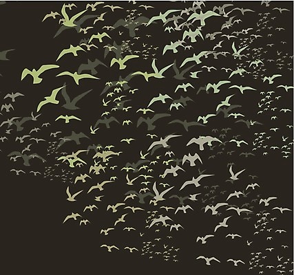 EPS 해외이미지 모양 동물 계절 실루엣 야생동물 날개 일러스트 가족 자연 갈매기 조류 하늘 휴가 휴식 종류 그림자 야외 여름 세트 자유 그리기 그룹 공작 숲 왜가리 문신 심볼 깃털 비둘기 앵무새 윤곽 독수리 철사 까마귀 해외202004 해외일러스트 컨셉 관계 모션 촬영기법 생태계 파일형식 벡터 이미지허브