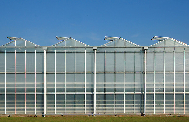 포토 JPG 해외이미지 꽃 문화 농업 유리 주택 사람없음 초록색 성장 네덜란드 원예 온실 해외202004 해외포토 식물 유럽 산업 컬러 재질 취미 건물 파일형식 이미지허브