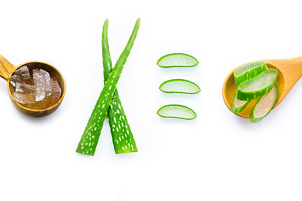 포토 JPG 해외이미지 스튜디오촬영 단면 실내 사람없음 초록색 흰배경 나무숟가락 나무그릇 알로에 해외202004 해외포토 식물 그릇 컬러 백그라운드 내부 목재 숟가락 흰색 파일형식 이미지허브