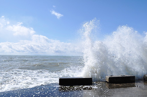 포토 JPG 해외이미지 물결 파도 바다 백그라운드 모션 자연 조류 표면 기술 안테나 풍경 사람없음 야외 물 여름 파란색 햇빛 어둠 활발 거품 흐름 흰색 거친 액체 서핑 떨어짐 지중해 속도 하와이 장면 분무기 용암 폭풍 S 내추럴 깊이 자취 터키석 효과 해외202004 해외포토 자연요소 동물 알파벳 계절 컬러 컨셉 통신 날씨 태양 미국 수상스포츠 보석 생태계 파일형식 이미지허브