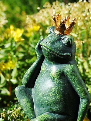 포토 JPG 해외이미지 사람없음 황금 해외202004 해외포토 파일형식 이미지허브