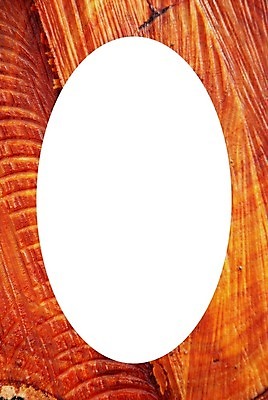 포토 JPG 해외이미지 나무 식물 백그라운드 패턴 텍스트 부분 자연 표면 불 추상 프레임 사람없음 목재 갈색 신선 반지 원형 숲 낟알 자르기 질감 통나무 연료 잡동사니 내추럴 고립 그런지 수목 옛날 전기톱 카운트 화상 해외202004 해외포토 자연요소 도형 컬러 무늬 재료 장신구 모션 상처 생태계 톱 파일형식 이미지허브