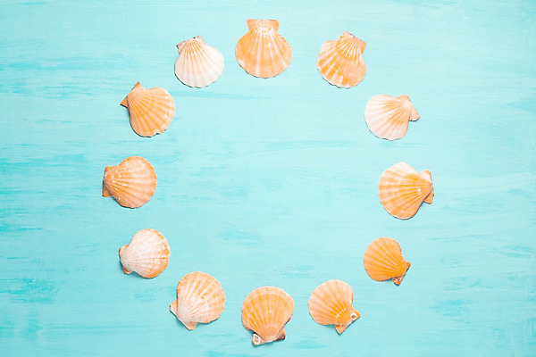 포토 JPG 해외이미지 디자인 배너 계절 바다 여행 백그라운드 컨셉 휴가 조개 휴식 프레임 항해 사람없음 목재 가로 파란색 우주 껍질 시간 플랫 널 정상 휴양지 위치 터키석 카피스페이스 해외202004 해외포토 나무 컬러 배_교통 재료 어패류 공백 장소 보석 파일형식 이미지허브