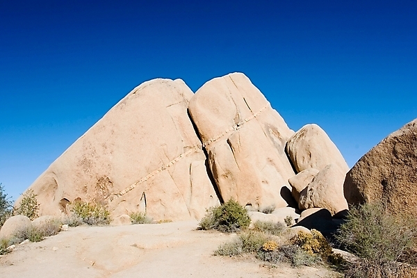 포토 JPG 해외이미지 나무 식물 공원 야생동물 자연 선인장 손바닥 풍경 사람없음 정원 계곡 하이킹 사막 부채 황무지 숲 강가 댐 언덕 캘리포니아 지역 내추럴 벌거벗은 숨기 전국 지질 해외202004 해외포토 동물 손 공공시설 모션 레저 강 미국 생태계 파일형식 이미지허브