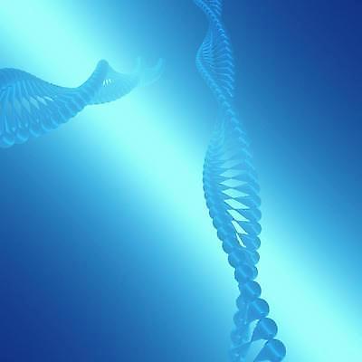 포토 JPG 해외이미지 과학 백그라운드 컨셉 신체 추상 생물 나선형 건강 사람 사람없음 물 파란색 약 반사 3D 우주 디지털 바이러스 구부린 질병 매끈함 DNA 생물학 만들기 염색체 더블 바이오 백신 유전 해외202004 해외포토 자연요소 교육 컬러 무늬 의학 모션 감각 생명공학 디지털합성 파일형식 이미지허브