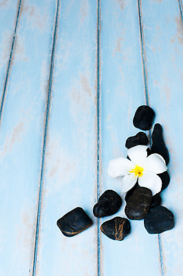 포토 JPG 해외이미지 디자인 백그라운드 패턴 자연 추상 휴가 바닥 사람없음 목재 장식 여름 갈색 정원 검은색 스파 바위 질감 옛날 해외202004 해외포토 나무 계절 컬러 무늬 재료 돌_바위 생태계 파일형식 이미지허브