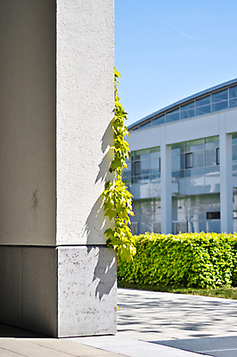 포토 JPG 해외이미지 식물 구름 계절 꽃 유럽 벽 백그라운드 컨셉 잎 건축양식 자연 하늘 포도 추상 벽돌 잉글랜드 주택 건강 사람없음 야외 건물 장식 초록색 파란색 세계 노란색 우주 와인 정원 수확 성장 흰색 시골 모서리 맛 덩굴 질감 각도 장면 포도나무 아이비 내추럴 고립 옛날 해외202004 해외포토 자연요소 건축물 건축 나라 컬러 무늬 농업 과일 영국 주류 과일나무 생태계 파일형식 이미지허브