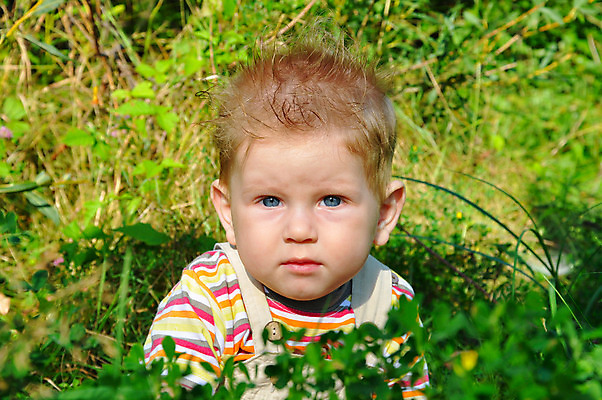 포토 JPG 해외이미지 식물 라이프스타일 공원 행복 감정 어린이 자연 한명 사람 소년 야외 초록색 여름 금발 정원 아기 내추럴 돌봄 해외202004 해외포토 1 헤어스타일 계절 공공시설 남자 컬러 모션 생활 생태계 파일형식 이미지허브